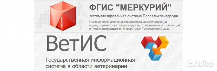 Регистрация в фгис Меркурий Россельхознадзор