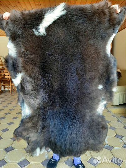 Шкуры овчина