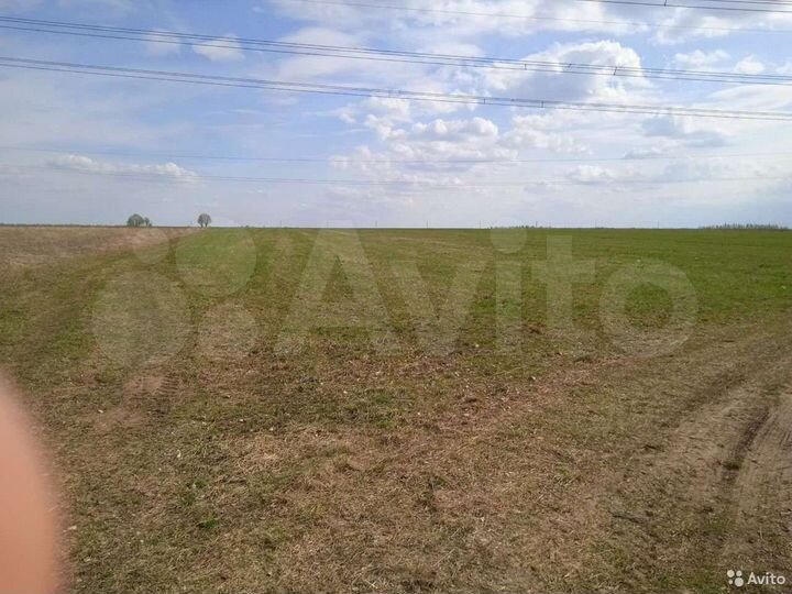 Участок 4 га (СНТ, ДНП)