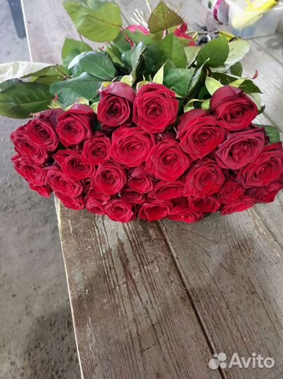 101 роза с доставкой, букет роз с доставкой