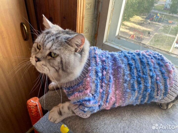 Одежда для кошек, собак. Свитер для собачек, котят