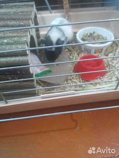 Клетка для грызунов большая