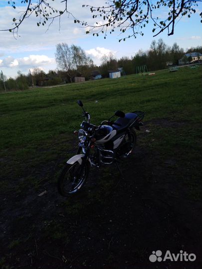 Рейсер 110 кубов