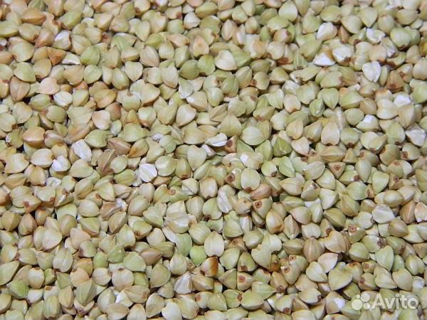 Зеленая гречка