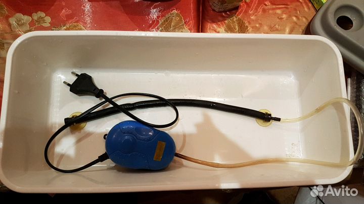 Луковое счастье