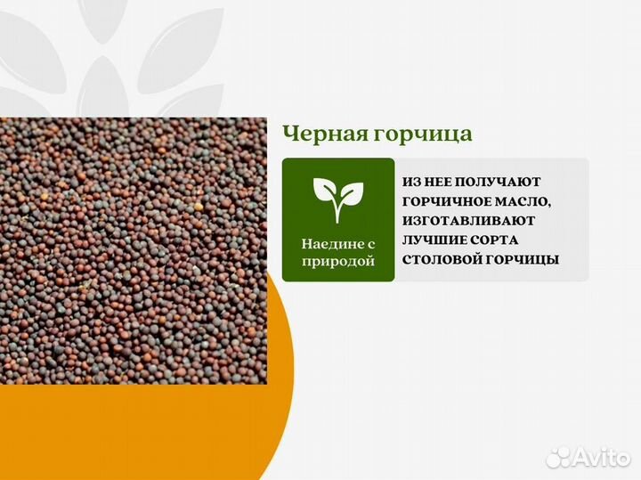 Чёрная горчица (кг)