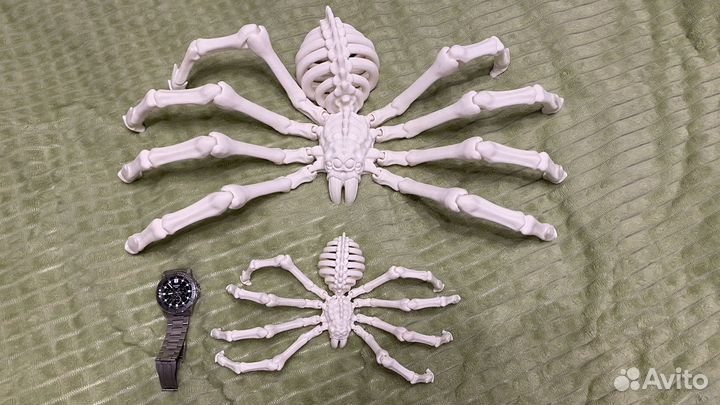 Костяной паук, Арагог, тарантул