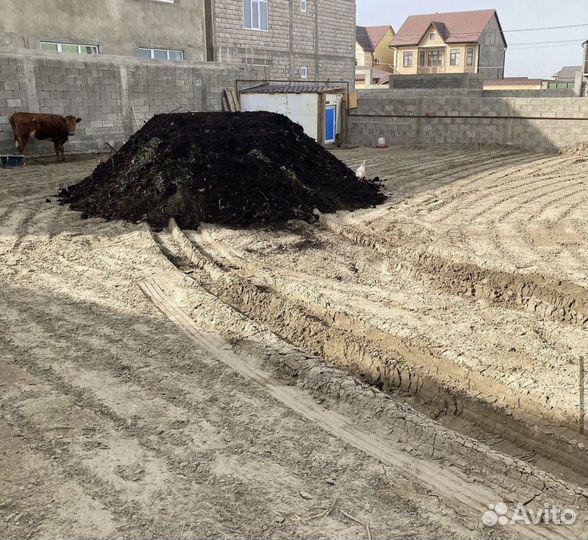 Чернозём