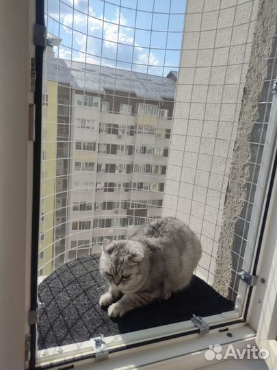 Балкончик для кошки