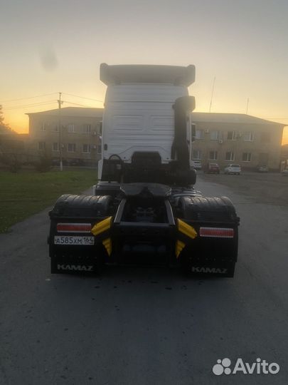 КамАЗ 5490 NEO, 2018