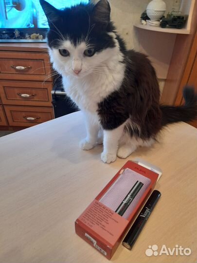 Тушь для ресниц новая Pupa Vamp