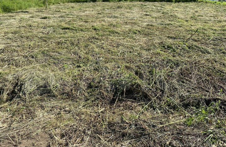 Участок 10 сот. (СНТ, ДНП)