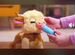 Интерактивная игрушка furreal friends Hasbro, Балабаново