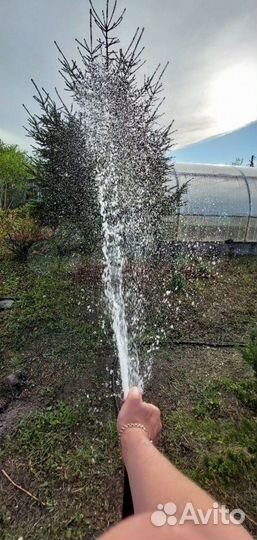 Абиссинская скважина