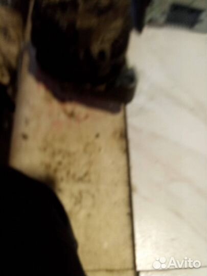 Моторчик трапеции дворников (стеклоочистителя)