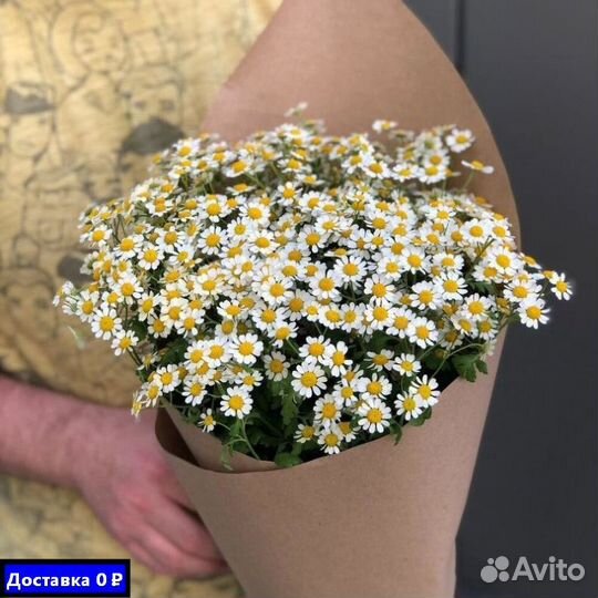 Ромашки для девушки