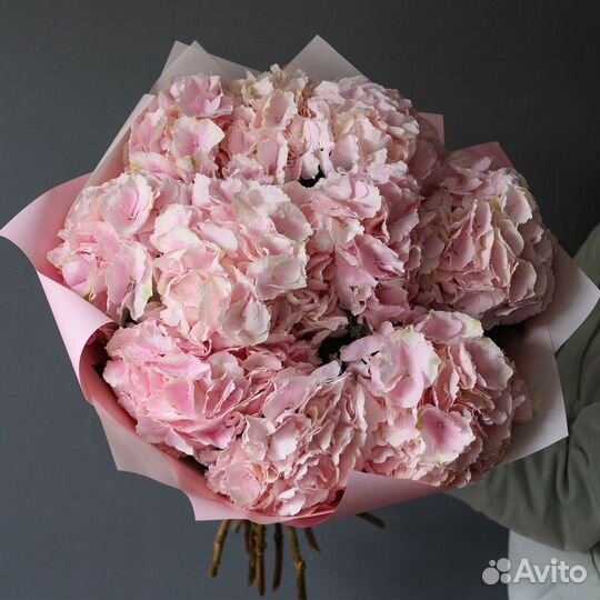 Гортензия букет