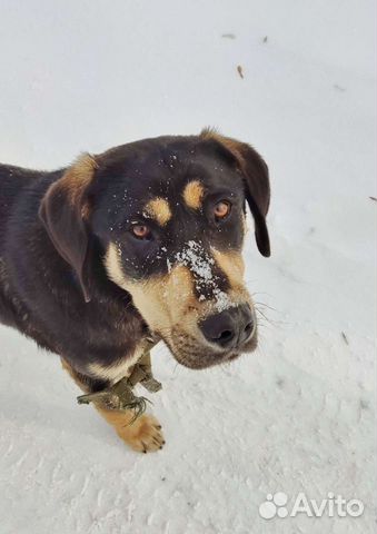 Мальчик, возраст до года
