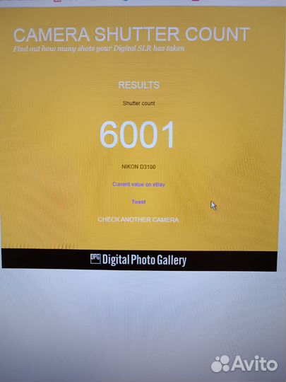 Зеркальный фотоаппарат nikon d3100