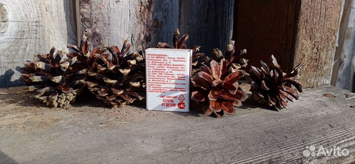 Шишки сосновые