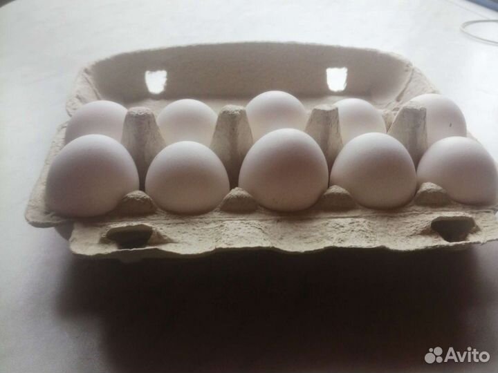 Молоко,куры,яйца