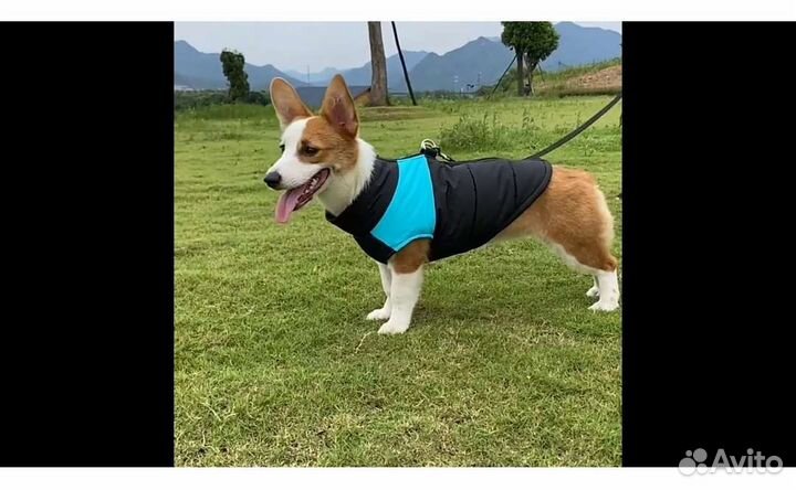 Жилетка для средней собаки