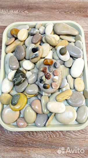 Галька морская Ракушки