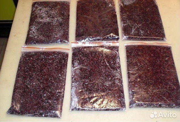 Замороженный живой корм для рыбок