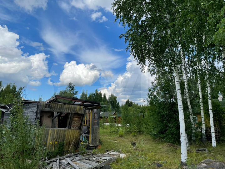 Участок 10 сот. (СНТ, ДНП)