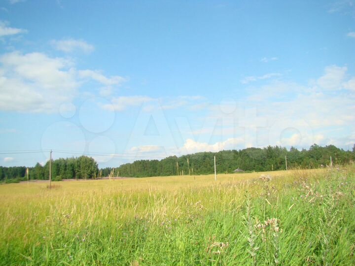 Участок 4 га (СНТ, ДНП)