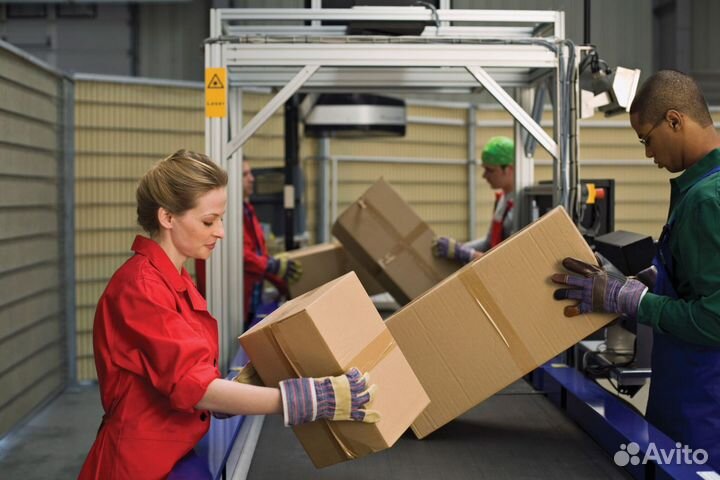 Упаковщики Солнечногорск, Вахта 15/30/4395