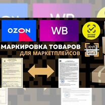 Дубль маркировки - за 2 дня, Мытищи