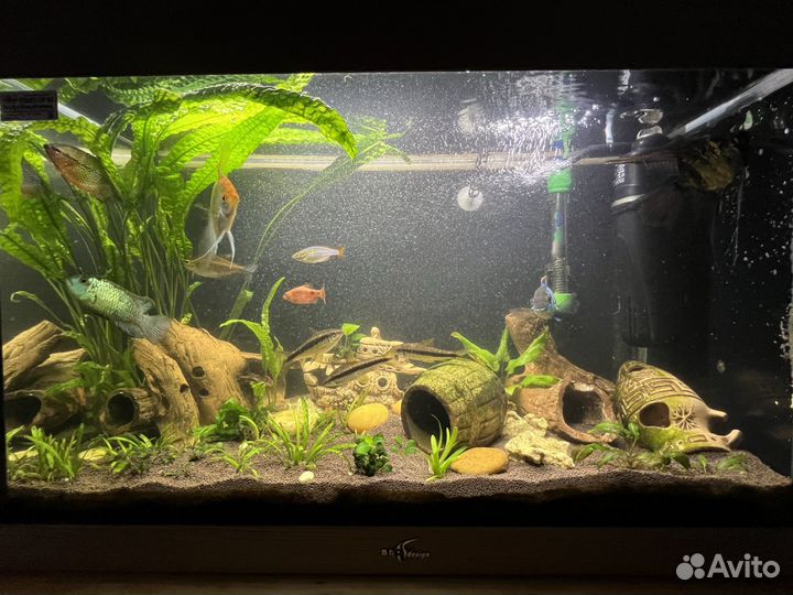 Продам аквариум