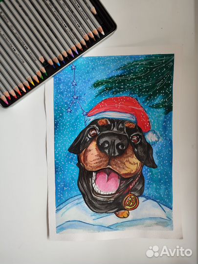 Портрет питомца по фото на заказ