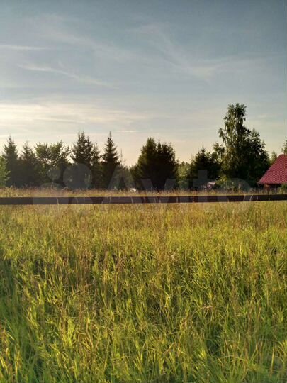 Участок 12,8 сот. (СНТ, ДНП)