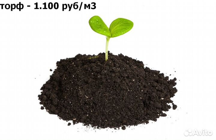 Торф