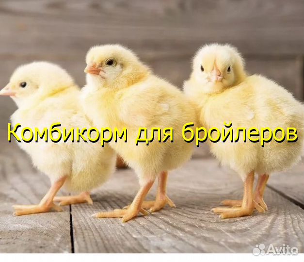 Комбикорм для бройлеров старт, рост, финиш