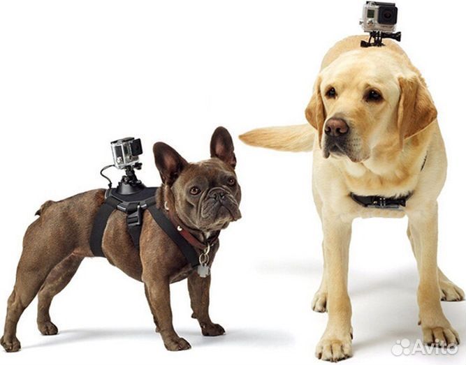 Крепление для экшн камер для собак