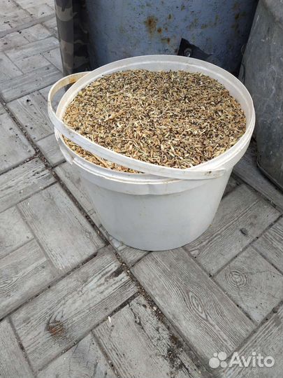 Смесь зерновых для кур (остатки)