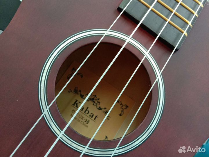 Укулеле концерт 23