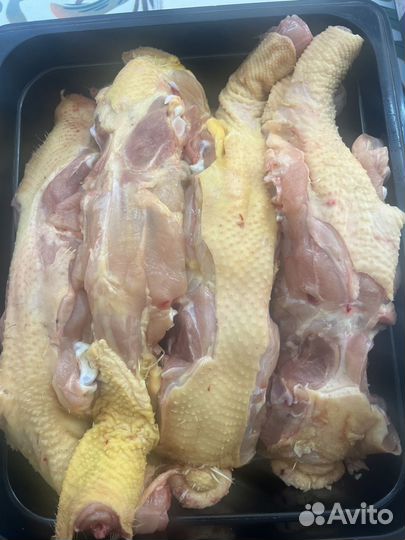 Куриные спинки