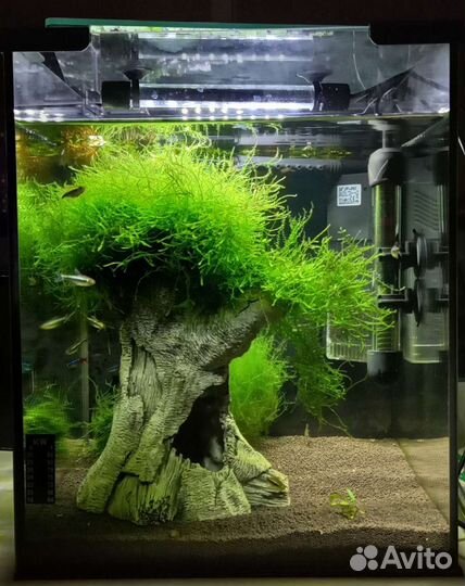 Ракушки, галька, кораллы