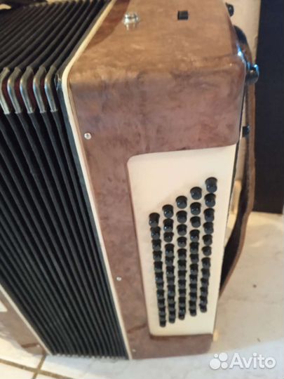 Аккордеон теза юность, 1/2