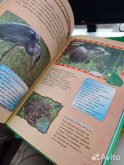 Коллекция книг царство животных