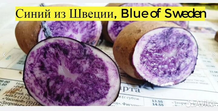 Редкие сорта, семенной картофель