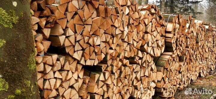 Дрова с заготовки