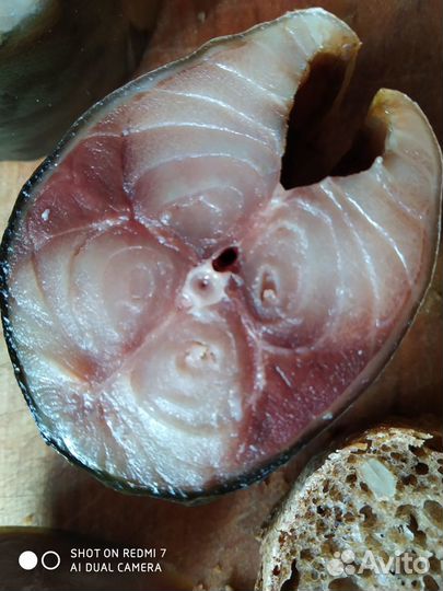 Рыба, мясо, сало холодного копчения