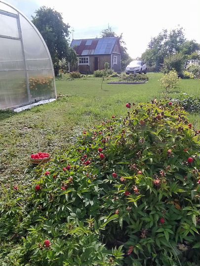 Дача 32 м² на участке 10,8 сот.