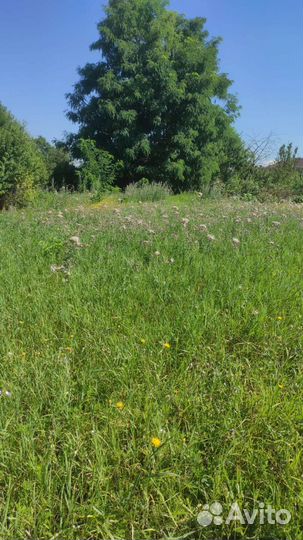 Покос травы