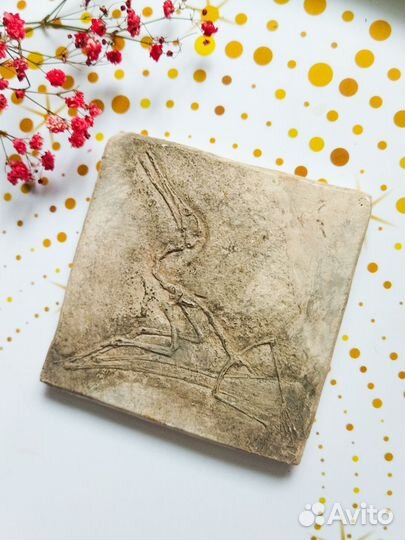 Панно гипсовое окаменелость динозавра